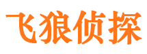 正定市场调查